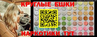 стаф Свободный